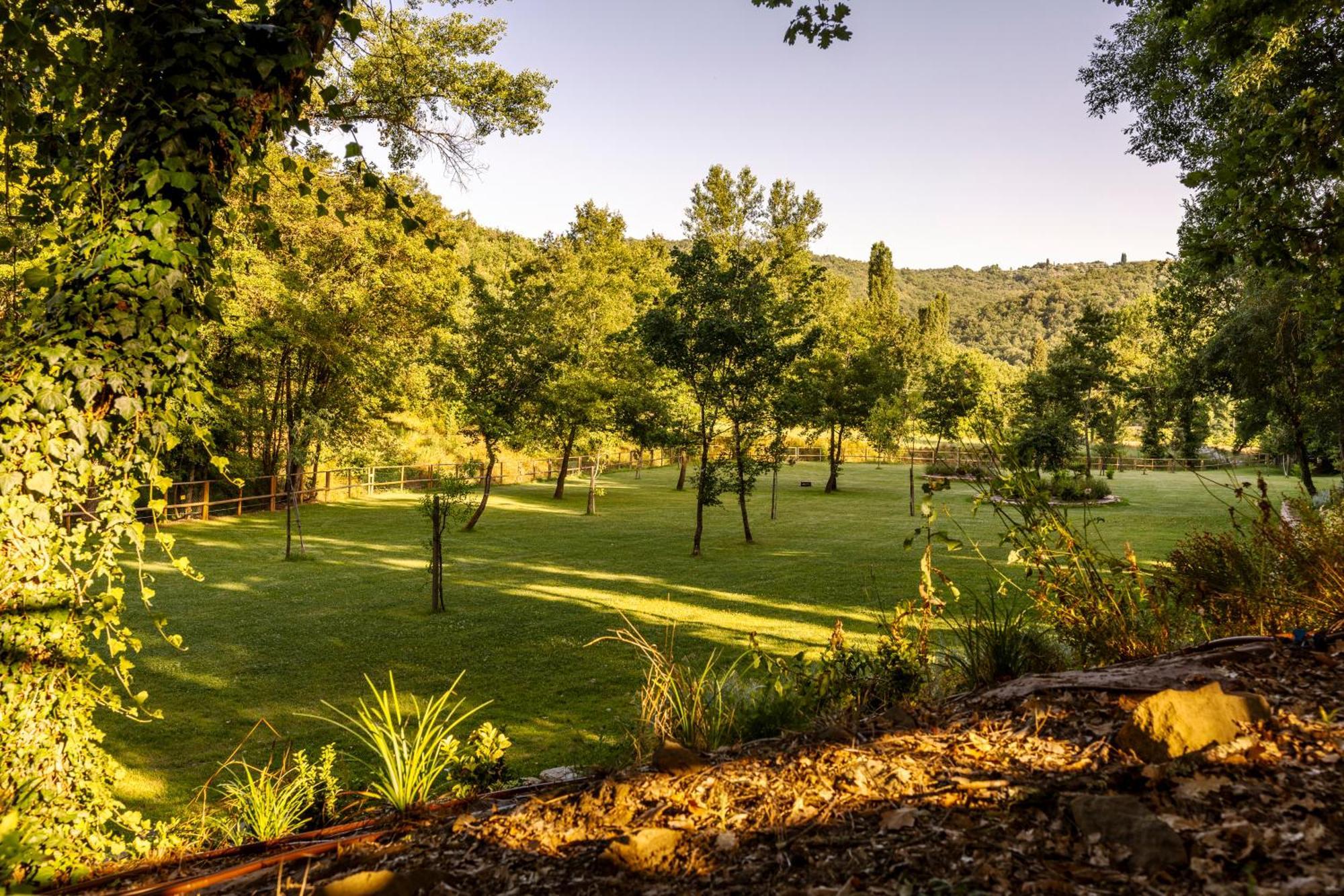Podere La Casina Country Chic Rigomagno Eksteriør billede